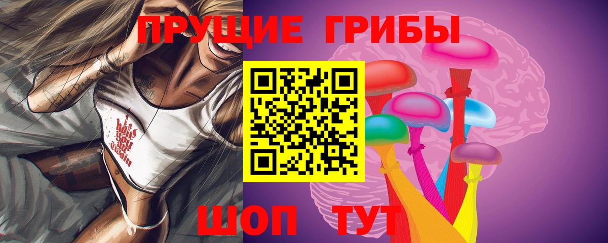 Псилоцибиновые грибы MAGIC MUSHROOMS Новоалександровск